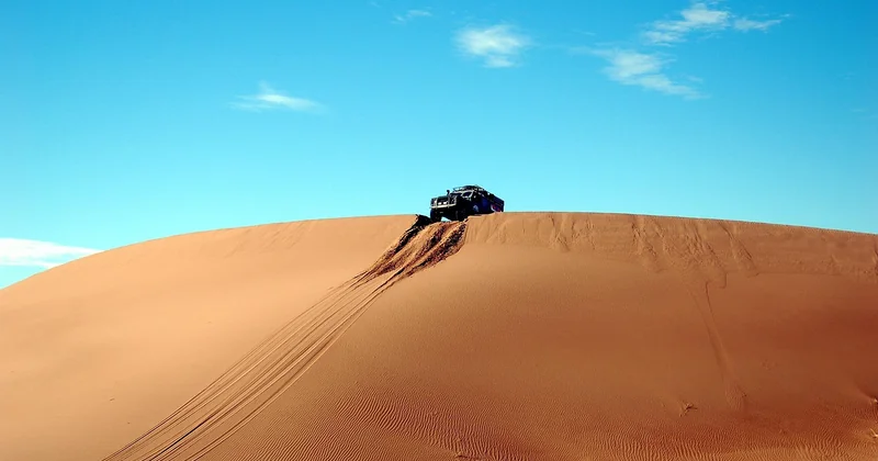 Les documentaires comme vecteur de transmission