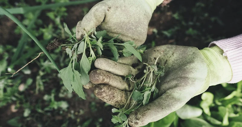 Les gants techniques : protection et précision