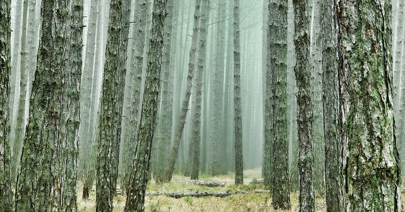 Les en-cas parfaits pour vos aventures en plein air : nos idées gourmandes à emporter
