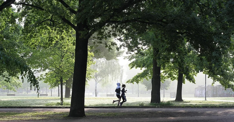 Les effets physiologiques concrets de l'échauffement