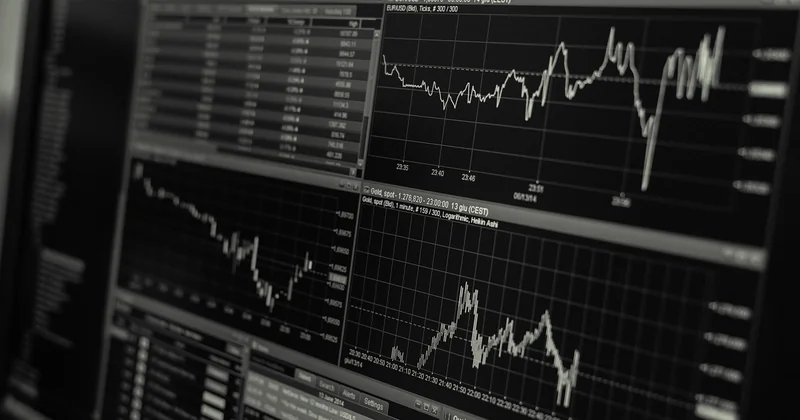 Des revenus irréguliers et peu prévisibles